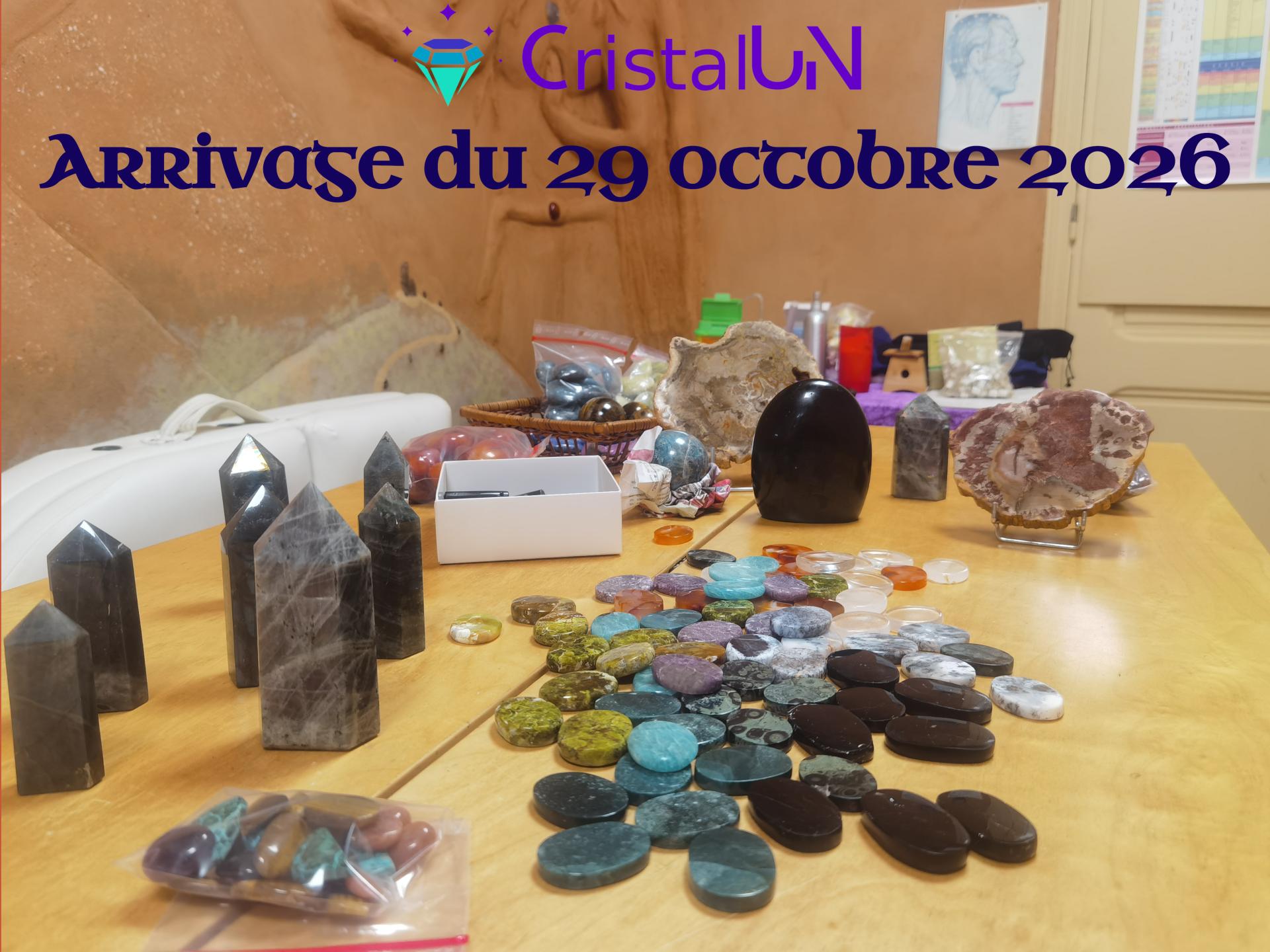 202610 arrivage